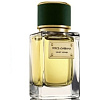 Velvet Vetiver Dolce & Gabbana